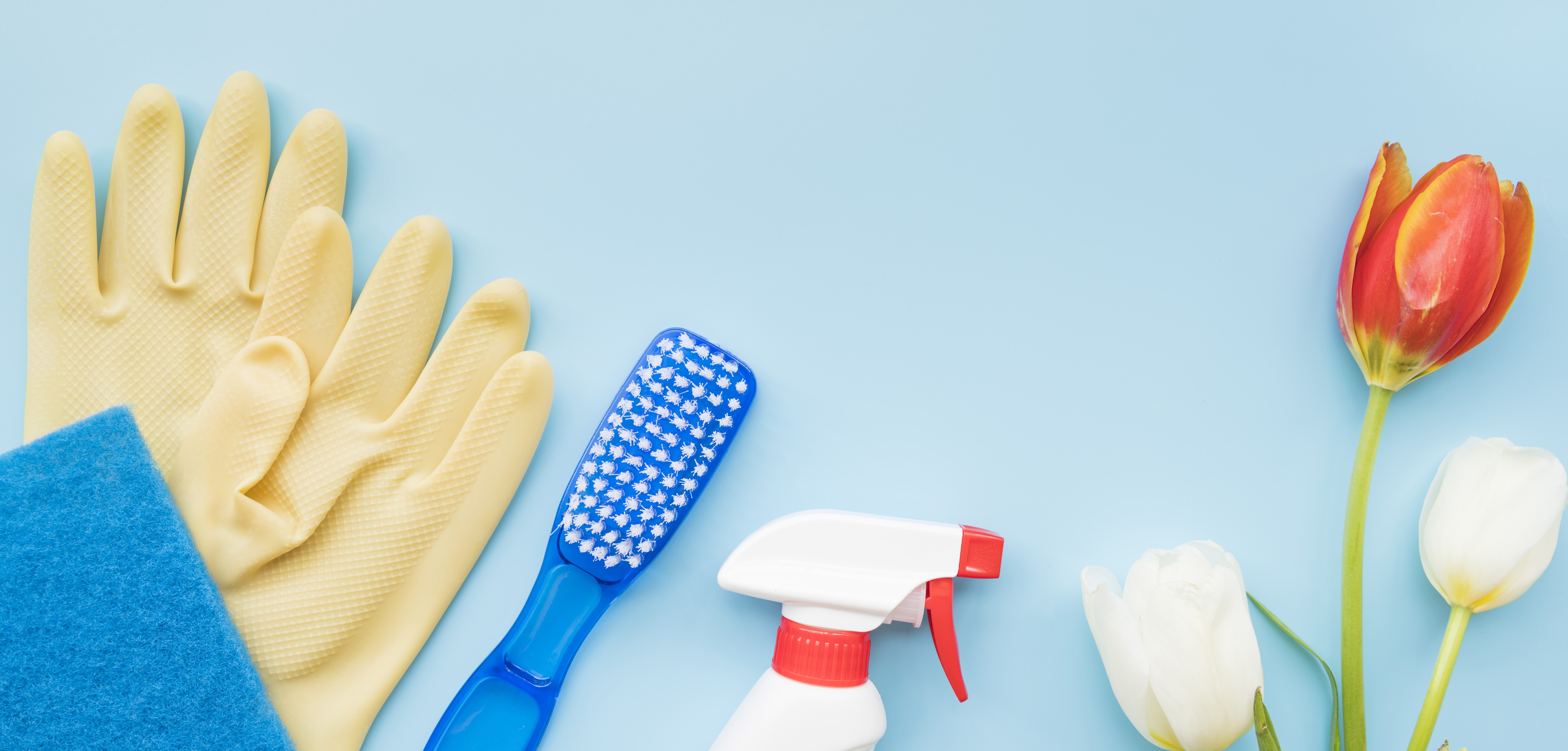 cleaning products on a light blue background